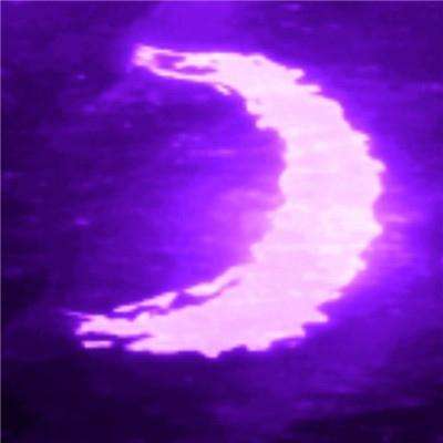 经典牛牛下载手机版