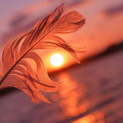 综合体育app官方入口下载