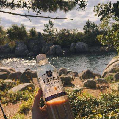 玩球直播下载ios