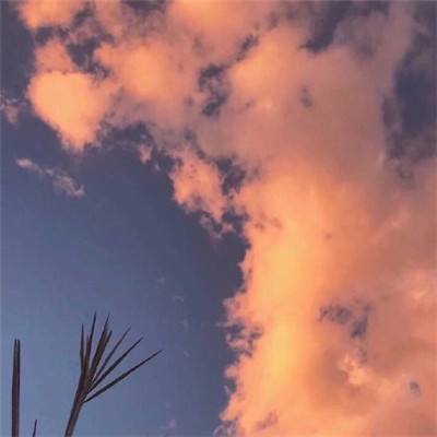 南宫28下载手机版