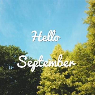 经典牛牛下载手机版