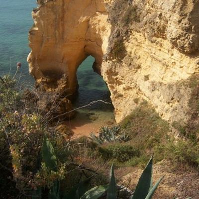 yaboapp手机app下载