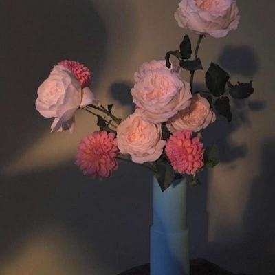 亚搏平台最新版app下载